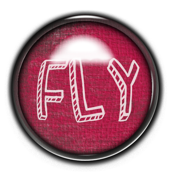 Fly